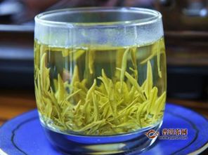 绿茶五元一斤的品种,绿茶的价格是多少