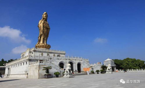 史上最强的普陀山旅游攻略,玩转 海天佛国 就靠它了 