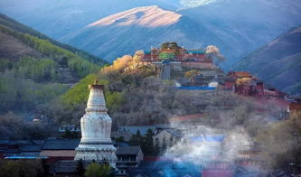 只想与你并肩站在五台山,望望景,谈谈情