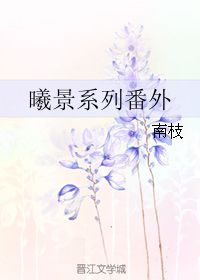 曦景系列番外 南枝 晋江文学城 