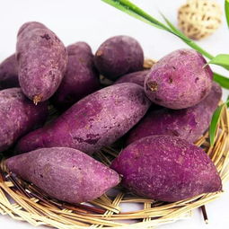 梦见挖紫薯(梦见挖出红薯)