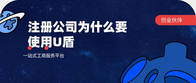 注册深圳公司还要提供法人和监事人的私人u盾?