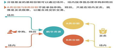 股票软件里都有哪些是场内分级母基金