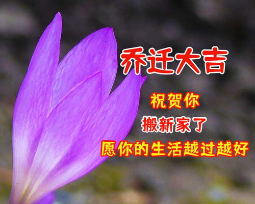 妹妹搬新家祝福语大全