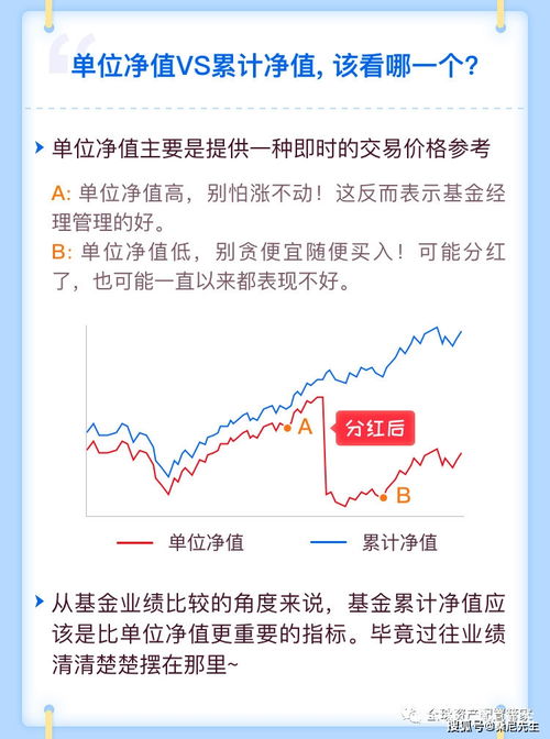 基金单位净值和最新净值是怎么一回事