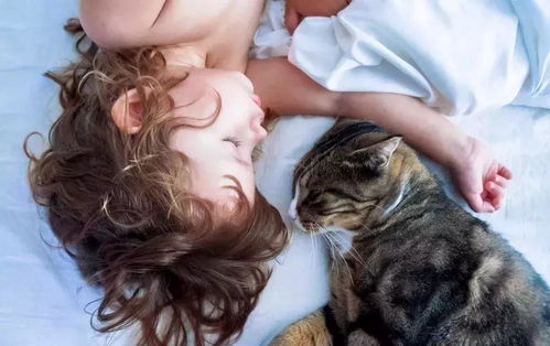 养猫的这7个好处足以让你说服家人 你的孩子需要一只猫咪