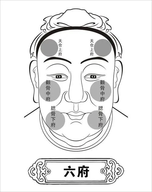 面相五官六府之六府