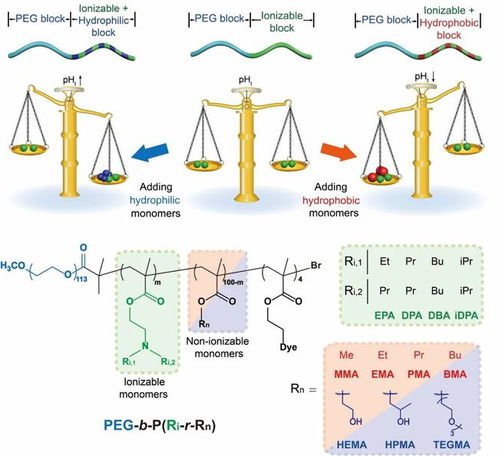 北京大学汪贻广Angew 基于非离子化单体的共聚策略实现纳米粒子库pH响应性精准调控