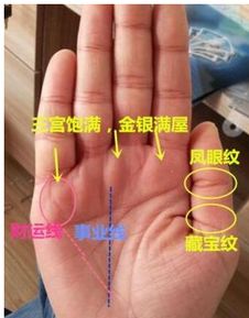 手相上有此 金银满屋 纹,迟早一发到底,一辈子不愁钱花 