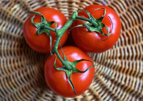 tomato复数怎么写(tomatos与tomatoes区别)