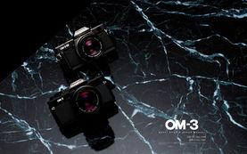 奥林巴斯数码相机 古董相机系列1440 900第31张壁纸 