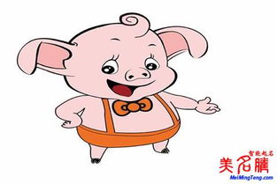 2019年猪年女宝宝名字大全(2019年猪宝宝女孩名字大全)