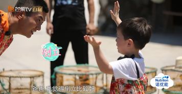 嗯哼今天四岁生日,花式套路爸爸杜江,网友 你是这样的处女座 