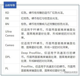 纸币评级标准与珍藏指南