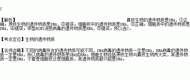 流感病毒的遗传物质是DNA还是RNA，请简