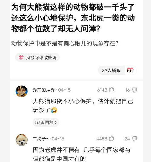 为啥大熊猫一千多个了还在保护,东北虎濒临灭绝了还无人问津 哈哈哈哈