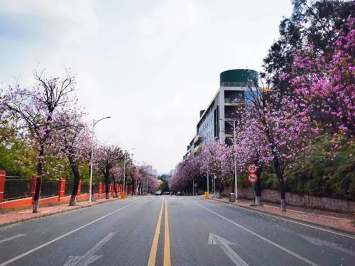 华南农业大学专业省排名(图2)