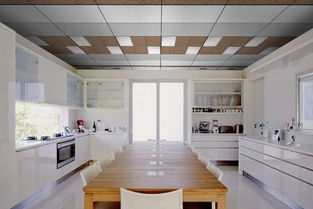 厨房吊顶蜂窝大板有必要加氛围灯(厨房吊顶蜂窝大板有必要加氛围灯吗视频)