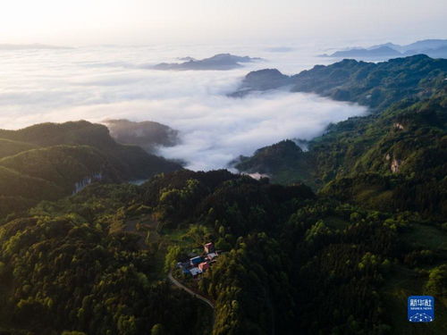 重庆金佛山