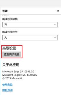 win10的浏览器edge图标不显示