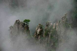 黄山旅游的原始股价是多少