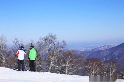 单板 双板 学滑雪你选哪个