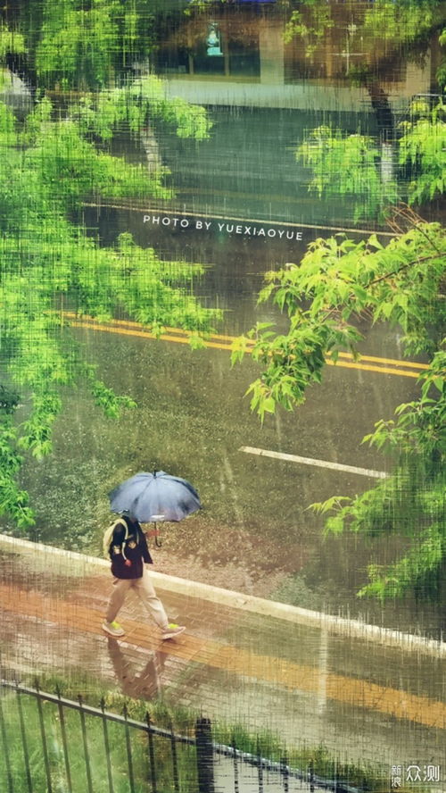 雨唯美图片大全雨景 搜狗图片搜索