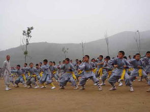 河南嵩山少林寺武术学校招生要求 