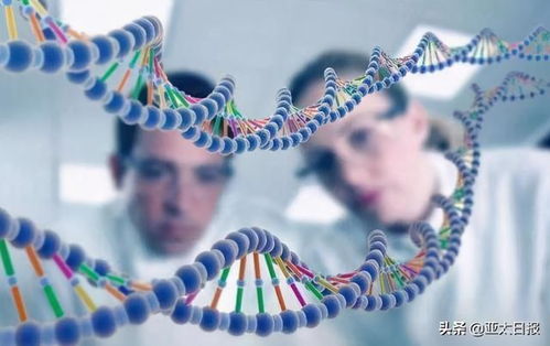 DNA决定爱情 日本婚介所通过基因帮你找另一半