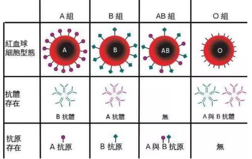 两种血型的夫妻生出的孩子,智商超群,网友 出生就赢在起跑线上