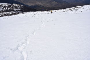 徒步 露营 第一次走如此厚的雪路