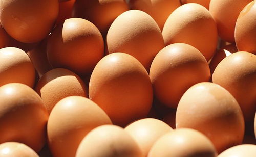 每天早上坚持吃一个鸡蛋,对身体有哪些好处 主要有4大好处