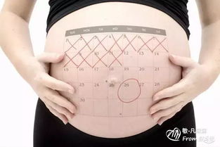 6种测算预产期的方法,帮你锁定宝宝诞生日