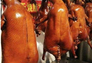 为什么广东人爱吃烧鹅,而广西人却更爱吃烧鸭 烤鸭发出了疑问