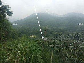 风水案例 风水大师王君植湖南看风水金星宝地,长沙衡阳风水培训弟子随师学习