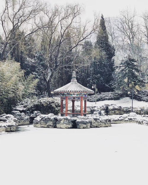 关于京城春雪的诗句