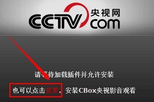 cCTv5体育频道直播在线观看