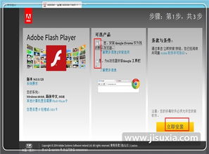 flash.9.独立播放器