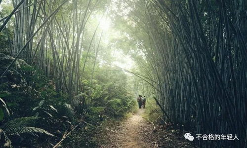 周末活动 地貌多样 广州市内最美徒步路线 牛木线