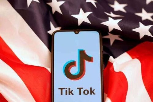 跨境品牌在TikTok中有哪些网红营销模式_tiktok广告账号