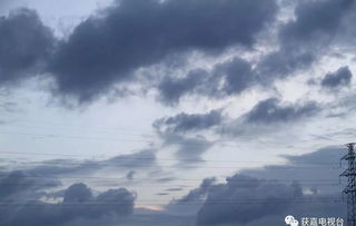 谷雨 雨生百谷,花开百福