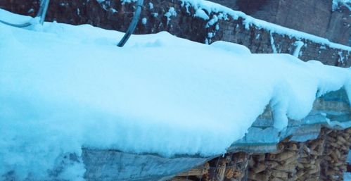 罕见 雷打雪 现象出现,农村俗讲 正月打雷遍地是贼 ,会怎样