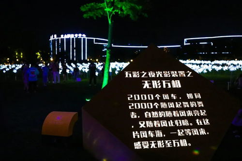 以光为名,以影为舞丨五彩之夜,城市因此变得更炫彩