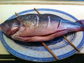 吃鱼会不会影响白友们的皮肤健康,能吃哪些鱼