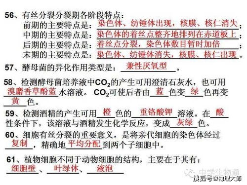 高中生物 复习资料,基础知识一篇打尽