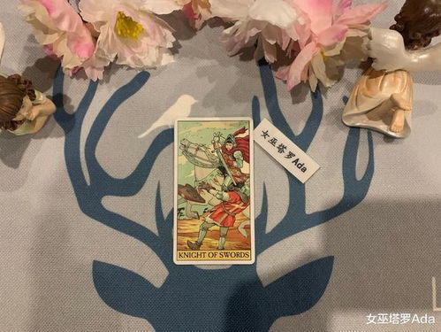 女巫塔罗,射手座2021年12月感情运势 事业心起,正缘桃花袭来