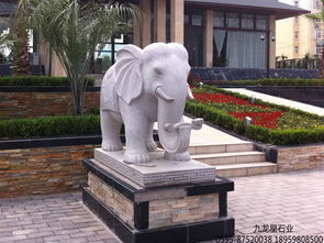 石雕汉白玉大象 大象吉祥物