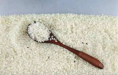 常见的4种储存大米的好方法,不招米虫,大米更新鲜