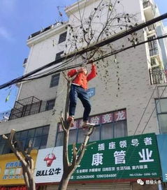 重磅 连云港被正式命名为国家卫生城市 