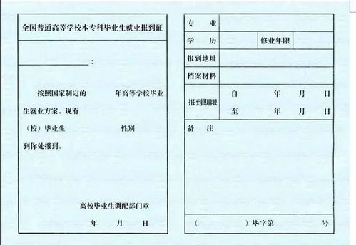 往届生报到证怎么补办